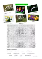 Vorschau - Arbeitsblätter - 4 Arbeitsblätter zum Frühling - Vertretungsstunde/Freiarbeit - Klasse 5-8 - Seite 1