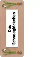 Vorschau - Präsentationen/Tafelbilder - Legematerial Schneeglöckchen Definitionsmaterial - Seite 3