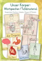 Vorschau - Poster - Unser Körper: Tafelmaterial/Wortspeicher - Deckblatt