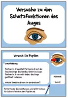 Vorschau - Arbeitsblätter - Materialpaket Schutzfunktionen des Auges - Seite 1