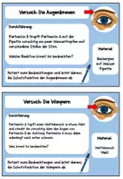 Vorschau - Arbeitsblätter - Materialpaket Schutzfunktionen des Auges - Seite 2