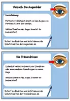 Vorschau - Arbeitsblätter - Materialpaket Schutzfunktionen des Auges - Seite 3