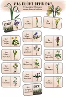 Vorschau - Spiele - Frühblüher Arten - Domino - Deckblatt