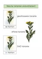 Vorschau - Poster - Pflanzen, Hecke - Tafelmaterial - Seite 2
