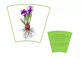 Vorschau - Unterrichtsreihen - SET Frühblüher - Seite 2