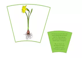 Vorschau - Unterrichtsreihen - SET Frühblüher - Seite 3