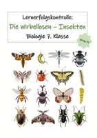 Vorschau - Unterrichtsreihen - Lernerfolgskontrolle Biologie 7. Klasse Wirbellose Insekten - Deckblatt