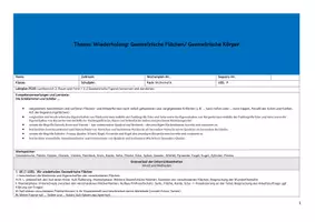 Vorschau - Unterrichtsreihen - Sequenzplanung/ Reihenplanung: Geometrische Flächen und Körper (Klasse 2) - Seite 1
