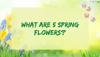 Vorschau - Spiele - Spring: Conversation Starters - Spring Edition (easy version) - Seite 2
