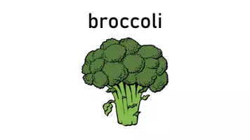 Vorschau - Fördermaterial/Inklusion - Vegetables: 25 Flashcards - Seite 2