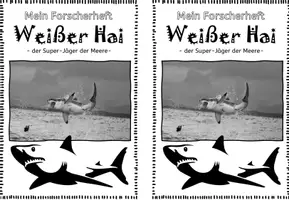 Vorschau - Arbeitsblätter - Forscherheft Weißer Hai I Ozeane I Meere - Seite 3