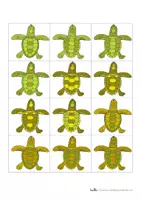 Vorschau - Spiele - Meersschildkröten-Memory® - Deckblatt