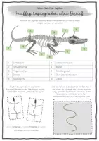 Vorschau - Arbeitsblätter - Reptilien - Stationenlernen // Wirbeltiere - Seite 3