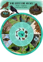 Vorschau - Poster - Amsel Legekreis - Wie lebt die Amsel? - Deckblatt