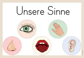 Vorschau - Präsentationen/Tafelbilder - Themenplakat - Unsere Sinne - Seite 3