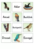 Vorschau - Arbeitsblätter - "Doppelt gemoppelt" zum Thema Vögel - Seite 2