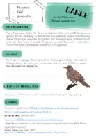 Vorschau - Spiele - Die Amsel in der Brutzeit - Domino - Seite 1
