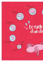Aperçu - Apprentissages en autonomie - TU SAVAIS PAS ? N°47 Que l'axolotl reste jeune toute sa vie! - Page 3