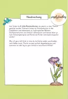 Vorschau - Spiele - Frühblüher und Frühling - Klammerkarten - Seite 1