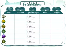 Vorschau - Arbeitsblätter - FREEBIE Frühblüher - Seite 2