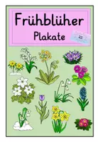 Vorschau - Poster - Frühling: Plakate Frühblüher - Deckblatt