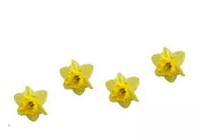 Vorschau - Unterrichtsreihen - Immer wieder kommt ein neuer Frühling - Melodieverlauf und Bildkarten - Seite 3
