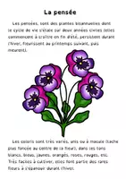Aperçu - Feuilles d'exercices - Kit pédagogique cycle de vie de plantes - Page 3