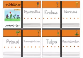 Vorschau - Arbeitsblätter - Lernwörter-Flipflap zum Thema Frühblüher - Seite 2