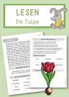 Vorschau - Arbeitsblätter - Leseverständnis Tulpe - Kopiervorlage - Deckblatt