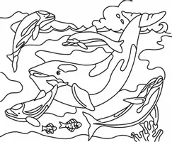 Aperçu - Matériel pour travaux manuels / dessin - Coloriages Baleine - Page 3