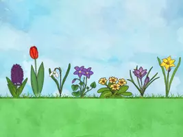 Vorschau - Arbeitsblätter - Klettmappe zum Thema Frühblüher - Seite 2