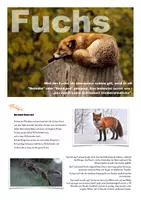 Vorschau - Präsentationen/Tafelbilder - Fuchs - Kartei & Tafelmaterial - Deckblatt
