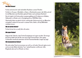 Vorschau - Präsentationen/Tafelbilder - Fuchs - Kartei & Tafelmaterial - Seite 3