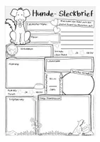 Aperçu - Apprentissages en autonomie - HUNDE Steckbrief deutsch / allemand Biologie / bilingualer Unterricht - Page 2