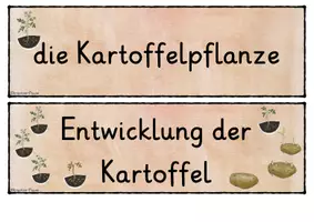 Vorschau - Unterrichtsreihen - Transparenz der Einheit - Kartoffel - Deckblatt