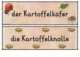 Vorschau - Unterrichtsreihen - Transparenz der Einheit - Kartoffel - Seite 2