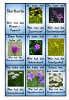 Vorschau - Spiele - Lesespiel Wiesenblumen : Blumen auf der Wiese - Seite 2