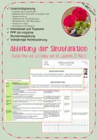 Vorschau - Stundenentwürfe - Erkunden der Ableitung der Sinusfunktion - Deckblatt