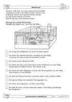 Vorschau - Spiele - Meerschweinchen - fächerübergreifende Arbeitsblätter - Krabbelfix - Seite 2