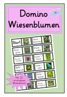 Vorschau - Spiele - Blumen auf der Wiese : Domino zu den Wiesenblumen - Deckblatt