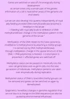 Aperçu - Texte - Epigenetic - Biology - Page 1