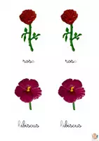 Aperçu - Apprentissages en autonomie - Cartes de nomenclature fleurs figurines cursive - Page 2
