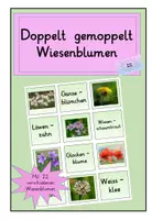 Vorschau - Spiele - Blumen auf der Wiese : Doppelt gemoppelt wiesenblumen - Deckblatt