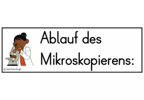 Vorschau - Poster - Mikroskopieren Ablauf - Seite 2
