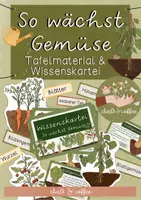 Vorschau - Präsentationen/Tafelbilder - "So wächst das Gemüse" - Arten von Gemüse Wissenskartei & Tafelmaterial - Deckblatt
