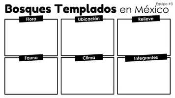 Vista previa - Unidades / Secuencias / Situaciones de Aprendizaje - Fichas de Trabajo Tema: ECOSISTEMAS | @ahoraquehagoprofe - página 3
