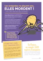 Aperçu - Apprentissages en autonomie - TU SAVAIS PAS N°28 Que l’araignée n’est pas un insecte ! - Page 3