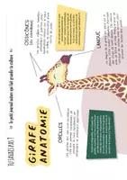 Aperçu - Apprentissages en autonomie - TU SAVAIS PAS N°29 Que la girafe est le plus grand animal terrestre ! - Page 3