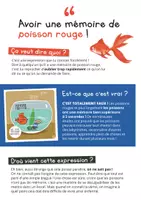 Aperçu - Apprentissages en autonomie - TU SAVAIS PAS N°39 Que la langue française n’est pas toujours tendre avec les animaux ! - Page 2