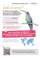 Aperçu - Apprentissages en autonomie - TU SAVAIS PAS N°42 Que les colibris sont dotés de capacités extraordinaires ! - Page 2